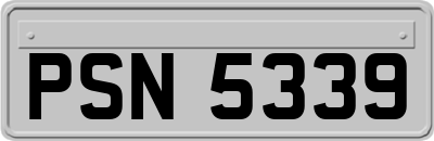 PSN5339