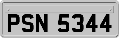 PSN5344