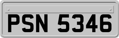 PSN5346