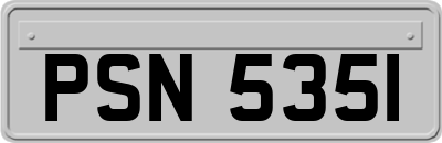 PSN5351