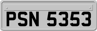 PSN5353