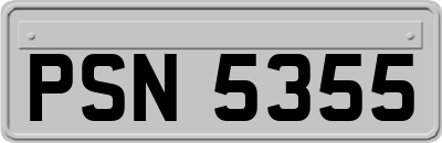 PSN5355