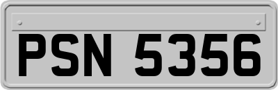 PSN5356