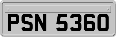 PSN5360