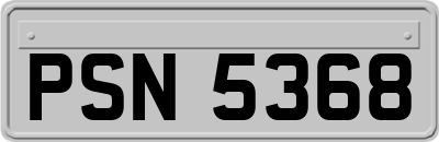 PSN5368
