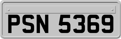 PSN5369