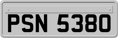 PSN5380
