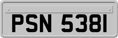 PSN5381