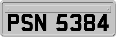 PSN5384