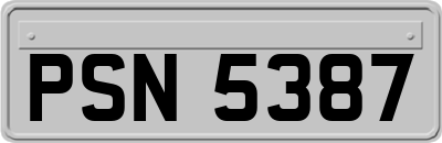 PSN5387