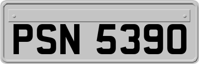 PSN5390