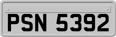 PSN5392