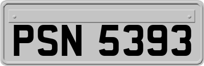 PSN5393