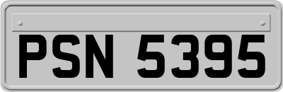 PSN5395