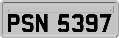 PSN5397