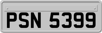 PSN5399