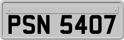 PSN5407