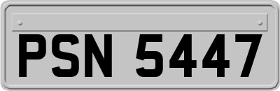 PSN5447