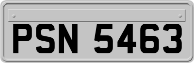 PSN5463