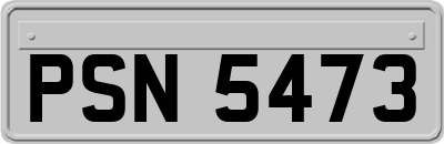 PSN5473