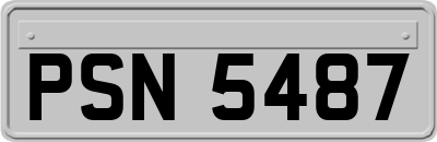 PSN5487