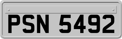 PSN5492
