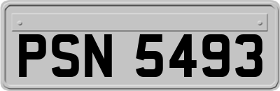 PSN5493