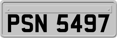 PSN5497