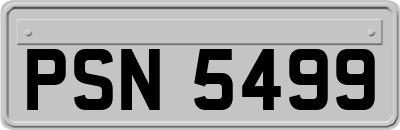 PSN5499