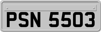 PSN5503