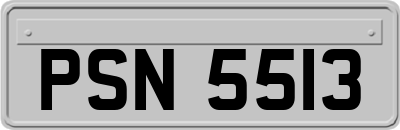 PSN5513