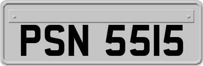 PSN5515