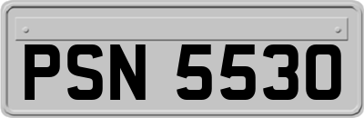 PSN5530
