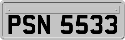 PSN5533