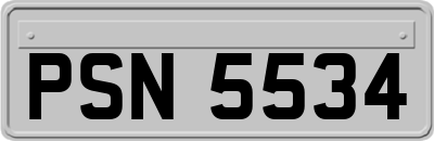 PSN5534
