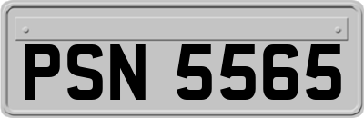 PSN5565