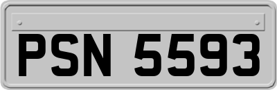 PSN5593