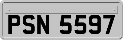 PSN5597