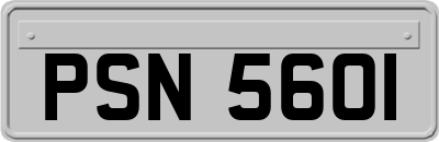 PSN5601