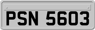 PSN5603