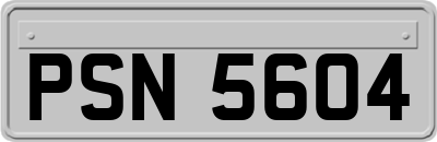 PSN5604