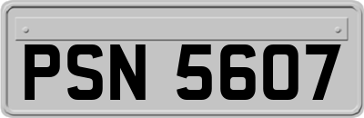 PSN5607