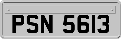PSN5613