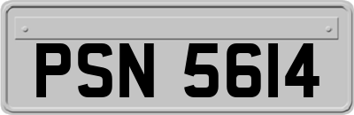 PSN5614