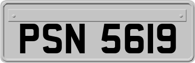 PSN5619