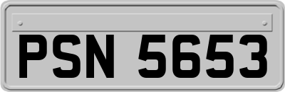 PSN5653