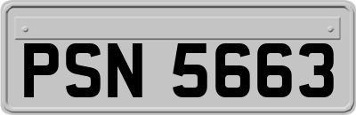 PSN5663