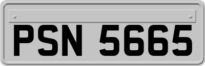 PSN5665