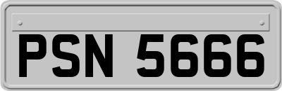 PSN5666