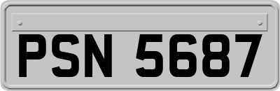 PSN5687